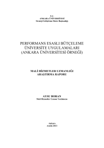 performans esaslı bütçeleme üniversite uygulamaları (ankara