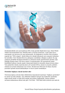 Tasarımcı Proteinler Ve Dna Sarmalı | İnovatif Kimya Dergisi