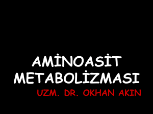 aminoasit metabolizması - mustafaaltinisik.org.uk