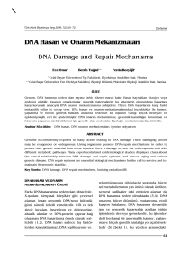 DNA Hasar› ve Onar›m Mekanizmalar› DNA Damage and Repair