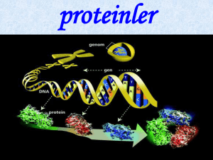 Proteinler indirmek için tiklayiniz!