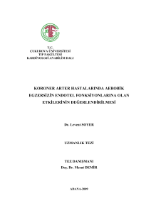 koroner arter hastalarında aerobġk egzersġzġn endotel