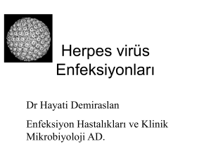 Herpes virüs enfeksiyonları2016