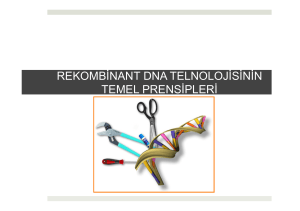 2. Rekombinant DNA Teknolojisinin Temel Prensipleri.pptx