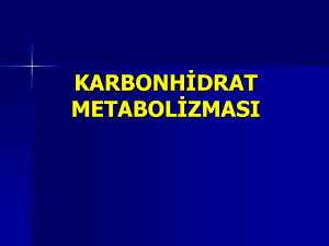 karbonhidrat metabolizması