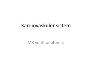 Kardiovaskuler sistem ct ve mr anatomi_2