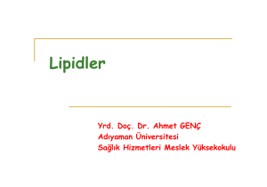 Lipidler [Uyumluluk Modu]