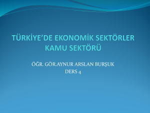 türkiye`de ekonomik sektörler kamu sektörü