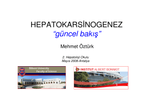 (Microsoft PowerPoint - 16.Mehmet \326zt\374rk.ppt [Salt Okunur])