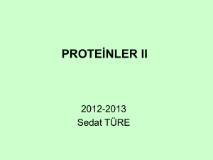 PROTEİNLER II