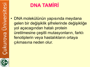 DNA TAMİRİ