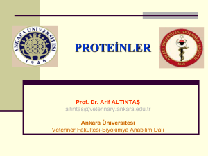 Amino asitler-Peptidler ve Proteinler