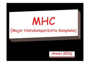 Majör Histokompatibilite Kompleks (MHC)