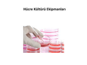 Hücre Kültürü Ekipmanları - Erzurum Teknik Üniversitesi