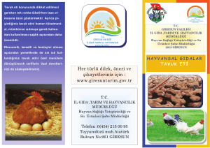 Tavuk Eti - Giresun İl Gıda Tarım ve Hayvancılık Müdürlüğü