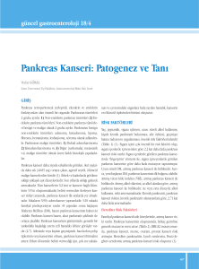 Pankreas Kanseri: Patogenez ve Tanı