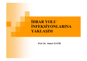 Üriner enfeksiyon - Prof.Dr. Ahmet NAYIR