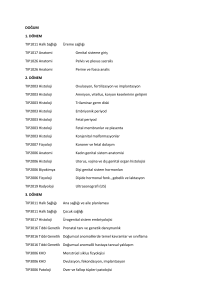 DOĞUM 1. DÖNEM TIP1011 Halk Sağlığı Üreme sağlığı TIP1017