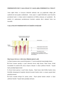 periodonsiyumun yaşlanması ve yaşlılarda periodontal tedavi