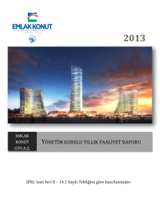 yönetim kurulu yıllık faaliyet raporu