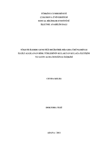 türkiye cumhuriyeti çukurova üniversitesi sosyal bilimler enstitüsü