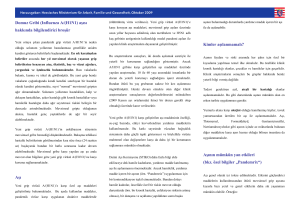 Domuz Gribi (Influenza A/(H1N1) aşısı hakkında bilgilendirici broşür