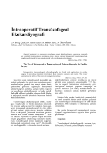 İntraoperatif Transözofageal Ekokardiyografi