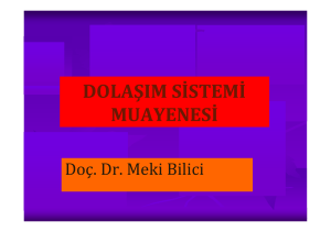 dolaşım sistemi muayenesi