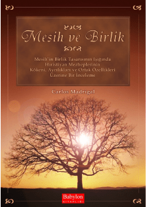 Mesih ve Birlik: Mesih`in Birlik Tasarısının Işığında Hıristiyan