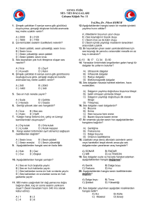 SES / SES DALGALARI Çalışma Kâğıdı No: 11 Yrd.Doç.Dr. Fikret