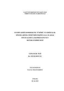 OVERİN SERÖZ BORDERLİNE TÜMÖRÜ VE SERÖZ KAR