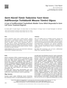 Germ Hücreli Tümör Tedavisine Yanıt Veren İndifferansiye