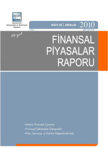 Finansal Piyasalar Raporu (Aralık 2010)