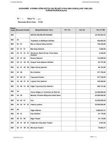 EKONOMİK AYIRIMA GÖRE BÜTÇE GELİRLERİ UYGULAMA