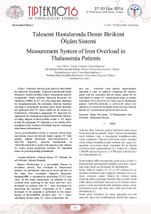Measurement System of Iron Overload in Thalassemia Patients