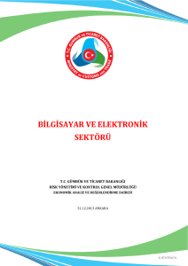 bilgisayar ve elektronik sektörü - Risk Yönetimi ve Kontrol Genel