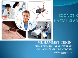 zoonotik hastalıklar