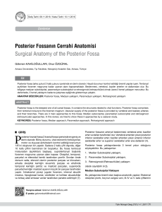 Posterior Fossanın Cerrahi Anatomisi Surgical Anatomy of the