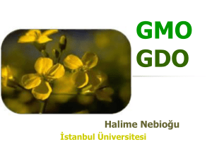 Halime Nebioğu - AVES - İstanbul Üniversitesi