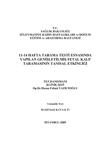 11-14 hafta tarama testđ es ası da yapıla ge đşletđlmđş fetal kalp