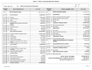 1.1 Bütçe Uygulama Sonuçları Tablosu