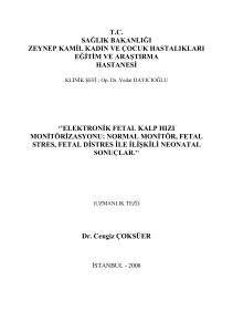 elektronik fetal ka