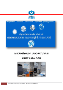 Mikrobiyoloji Laboratuvarı - Biyomühendislik