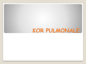 Kronik Kor Pulmonale de(KKP) Patogenez