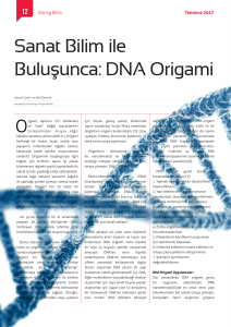 Sanat Bilim ile Buluşunca: DNA Origami