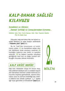 kalp-damar sağlığı kılavuzu