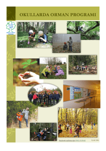 okullarda orman programı