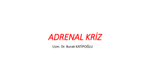 adrenal kriz