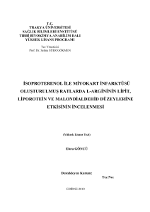 isoproterenol ile miyokart infarktüsü oluşturulmuş ratlarda l