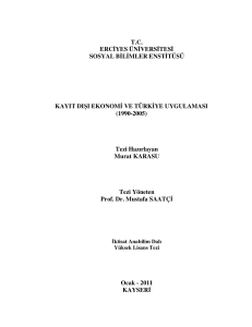 kayıt dışı ekonomi ve türkiye uygulaması (1990-2005)